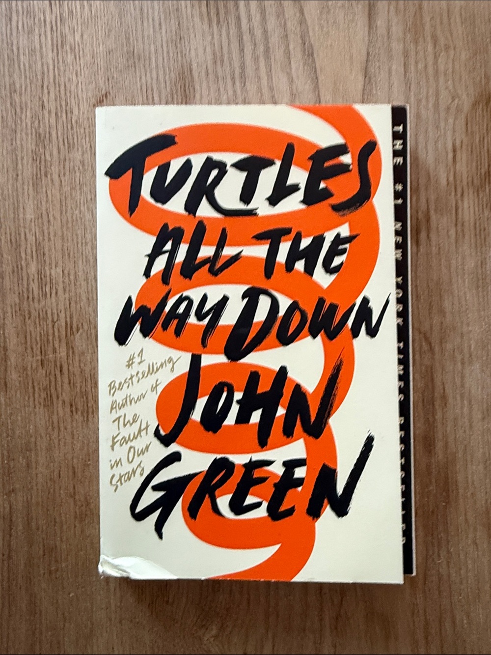 Turtles All The Way Down book